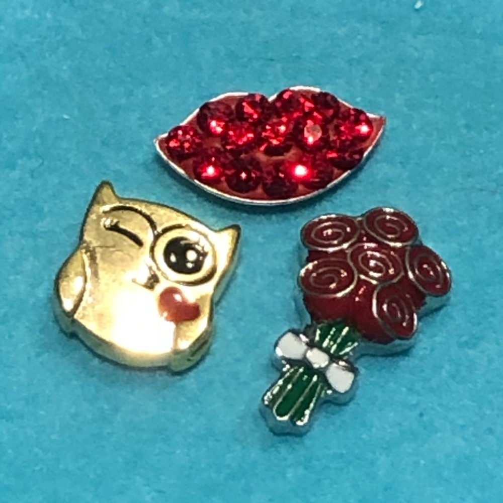 Retired Origami Owl kiss set